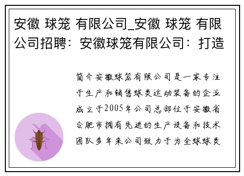安徽 球笼 有限公司_安徽 球笼 有限公司招聘：安徽球笼有限公司：打造球类运动装备的领航者